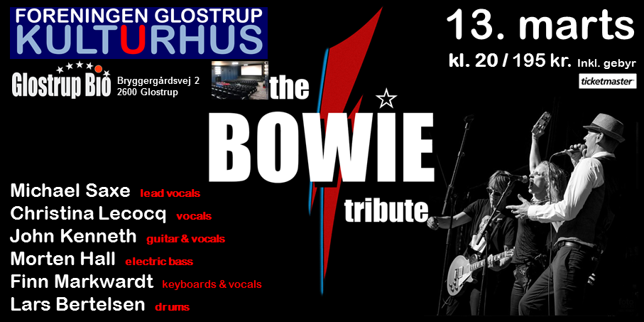 Bowie Tribute aflyses
